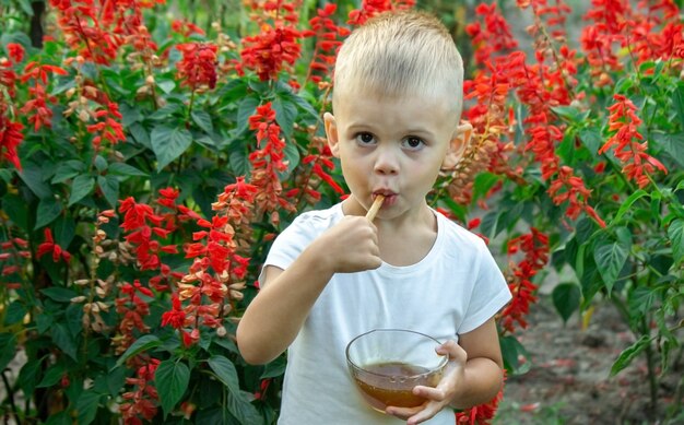 Kind eet honing in de tuin.