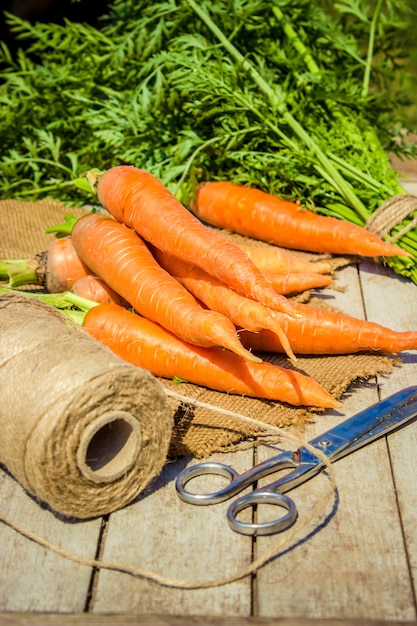 Kind- en biogroenten op de boerderij. Selectieve aandacht.