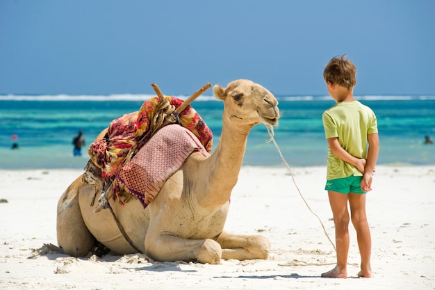 Kind en een kameel op het strand