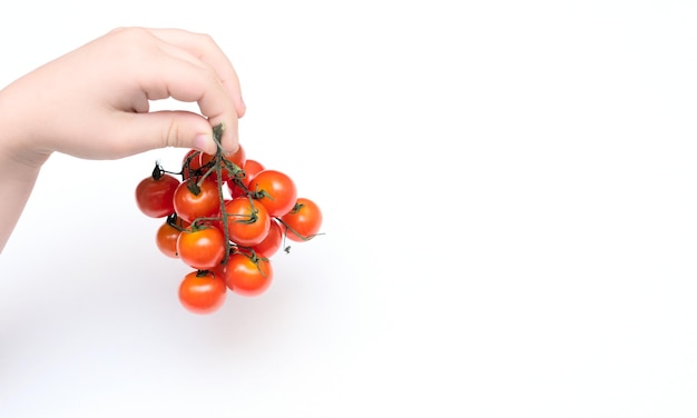 Kind hand met kleine rode cherry biologische tomaten op witte achtergrond Gezond eten concept Veganistisch eten Minimale kaart met kopie ruimte