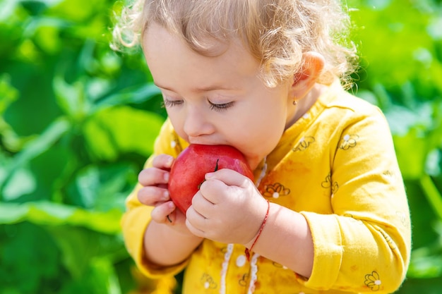 Kind in de moestuin selectieve aandacht