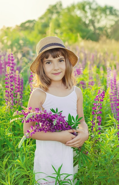 Kind in een lupine veld