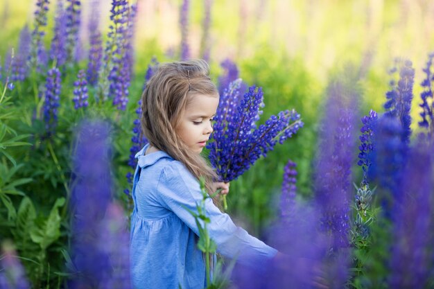 Kind in een veld van lupinen