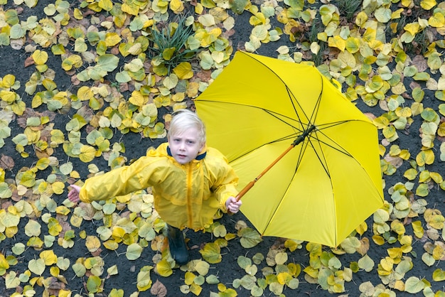 Foto kind in gele jas met gele paraplubakken en kijkt naar de camera tegen gevallen herfstbladeren achtergrond. bovenaanzicht.