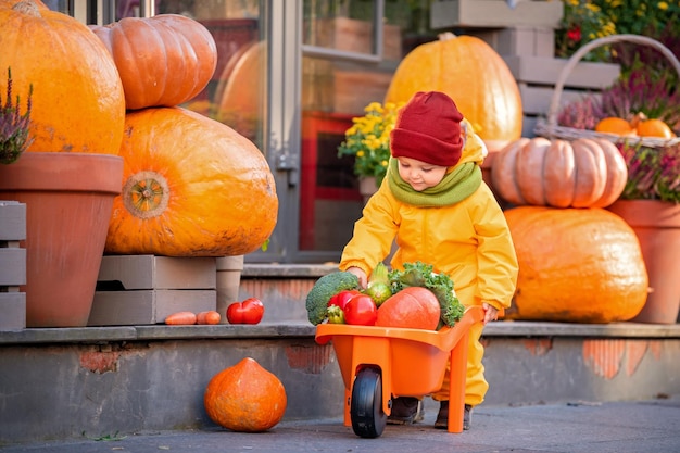 Kind in gele overall rijdt met speelgoedauto gevuld met groenten tussen grote pompoenen op herfstbeurs