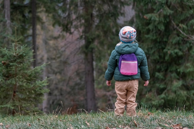 Kind in herfst in bos achteraanzicht Klein kind in gebreide muts en jas draagt kleine rugzak in dennenbos