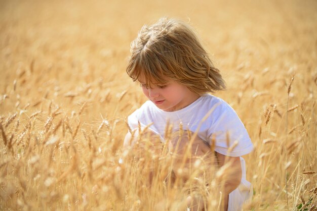 Kind in het tarweveld in de zomer