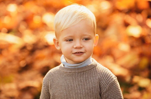 Kind jongen met herfst bladeren peuter jongen in het herfst park