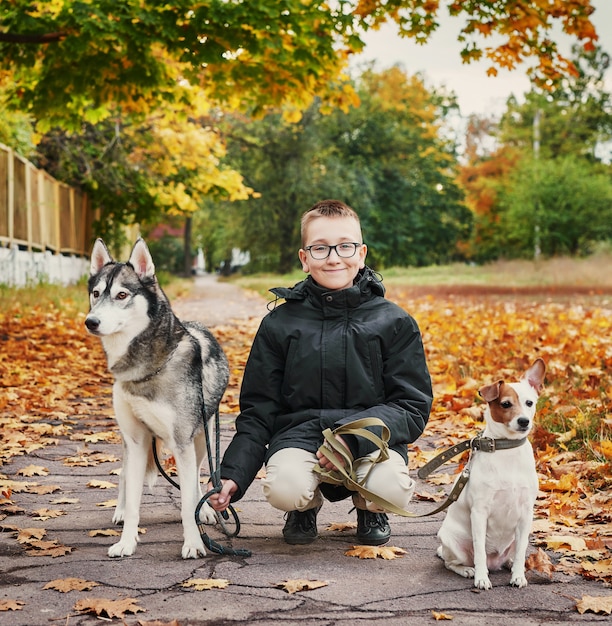 kind jongen met husky honden en jack russell terrier wandelingen in het park in het najaar