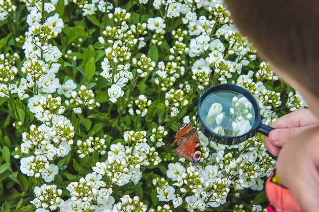 Kind kijkt in een vergrootglas vlinder zit op bloemen