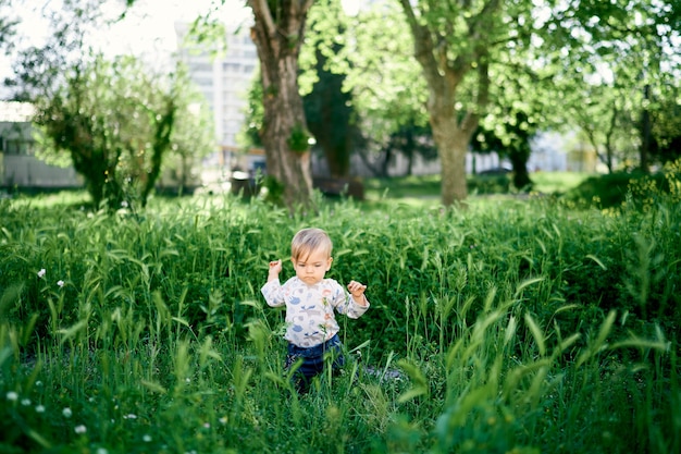 Kind knielt in het hoge gras tussen de groene aartjes