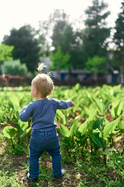 Kind loopt over het veld tussen de groene struiken achteraanzicht