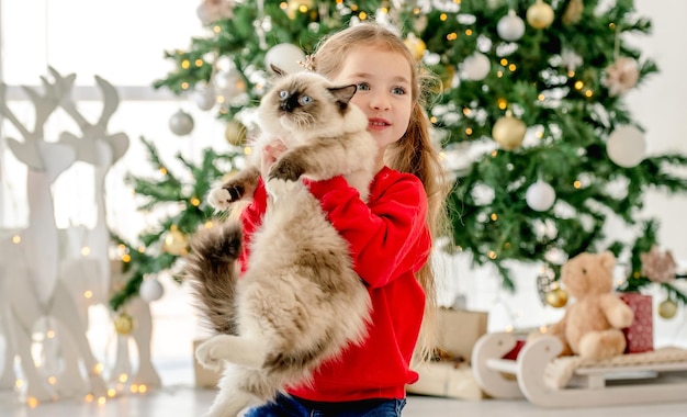 Kind meisje met ragdoll kat in de kersttijd met versierde boom op de achtergrond. Mooi kind met huisdier thuis in Nieuwjaar