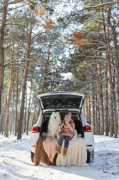Kind meisje zit in de kofferbak van de auto met haar huisdier, een witte hond Samojeed, in de winter in het besneeuwde dennenbos, een meisje dat thee drinkt uit een thermoskan