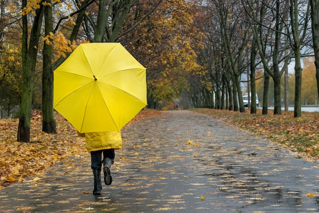 Kind met een paraplu loopt in een verlaten herfstpark Gevallen bladeren achtergrond Achteraanzicht