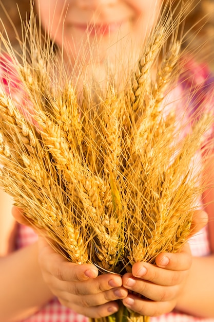 Kind met gele herfsttarweoren in handen