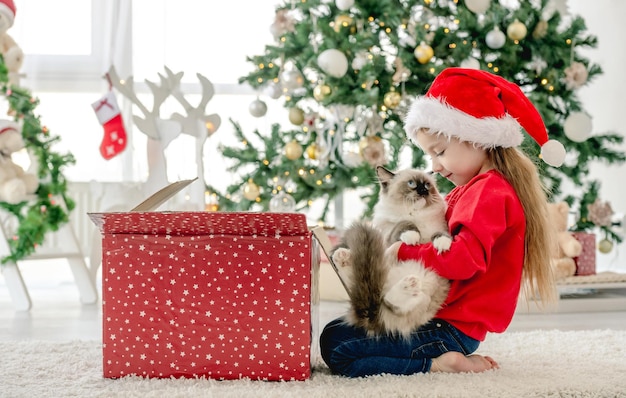 Kind met ragdoll kat in de kersttijd