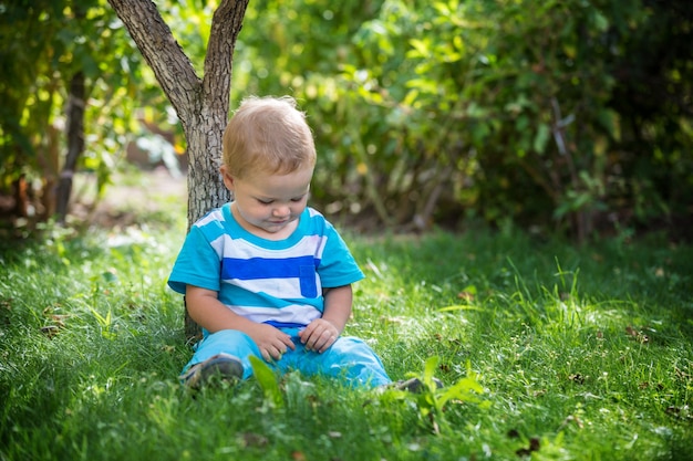 Kind op het gras onder de boom