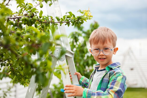 kind op ladder bij boom, tuinieren in achtertuin