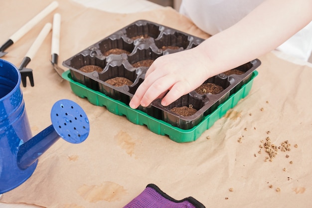 Kind plant zaden in een kleine zaailingenkas, zaailingencontainer met verweesde tabletten, tuinartikelen op tafel