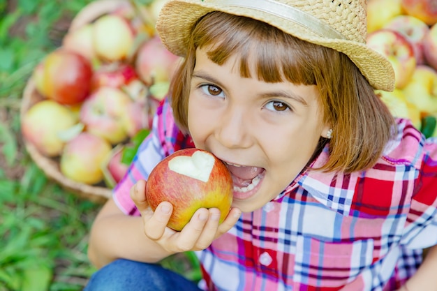 Kind plukt appels in de tuin in de tuin