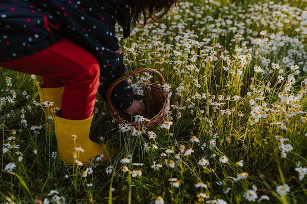 Foto kind plukt wilde bloemen