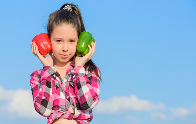 Kind presenteert soorten peper Herfstoogst groenten van eigen bodem Welke peper zou je kiezen Vegetarisch concept Kid meisje houdt rode en groene paprika's hemelachtergrond Kid houdt rijpe peperoogst