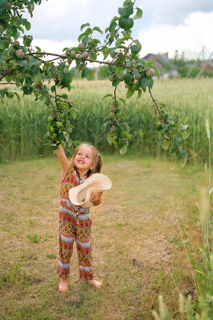 Kind verzamelt onrijpe appels van boom in zijn hoed