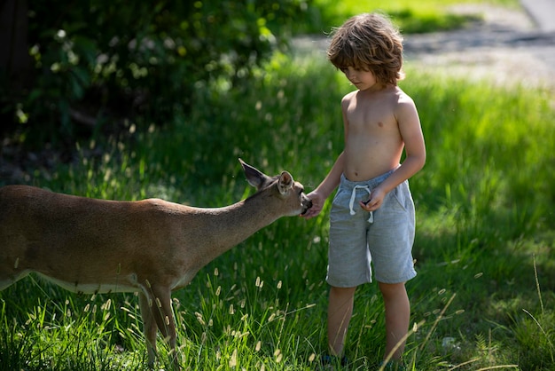 Kind voederen fawn herten buiten mooie jongen met baby dier bij park kids adaptatie