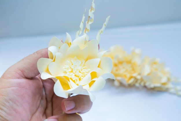 Kind of wood flower in man\' hand, to be placed on the site of\
cremation or used during a funeral in thailand. (dok mai jan) on\
white background with copy space.