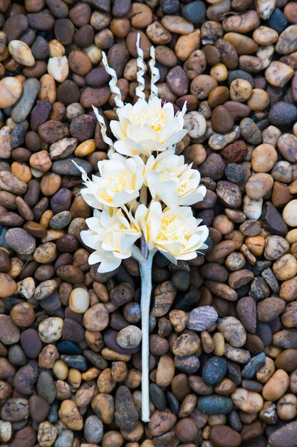 Kind of wood flower on small brown stone