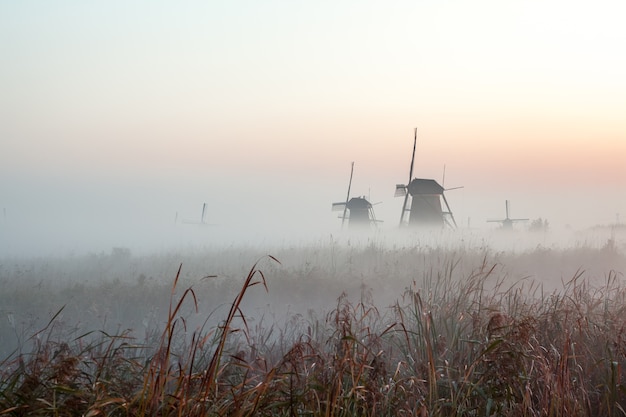 네덜란드의 Kinderdijk