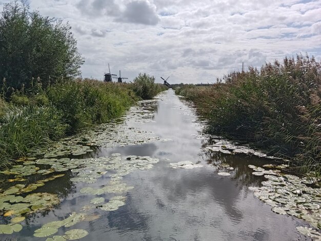 Photo kinderdijk