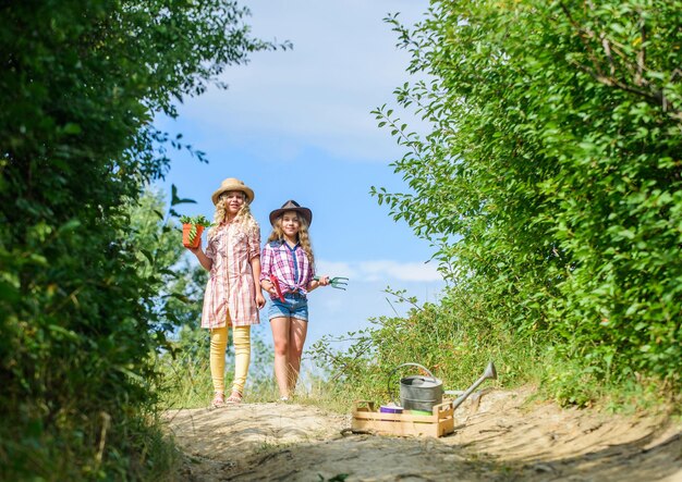 Kinderen broers en zussen plezier op de boerderij. Eco landbouwconcept. Meisjes met tuingereedschap. Zusters helpen op de boerderij. Op weg naar familieboerderij. Landbouwconcept. Schattige meisjes met hoeden gaan planten planten.