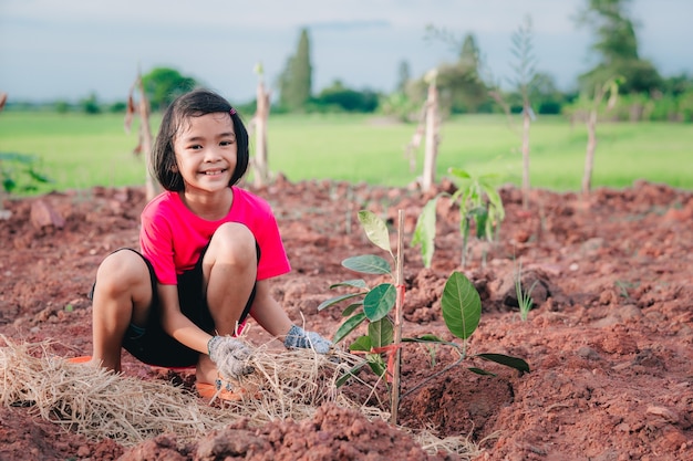 Kinderen die de boom op land onscherpe achtergrond planten