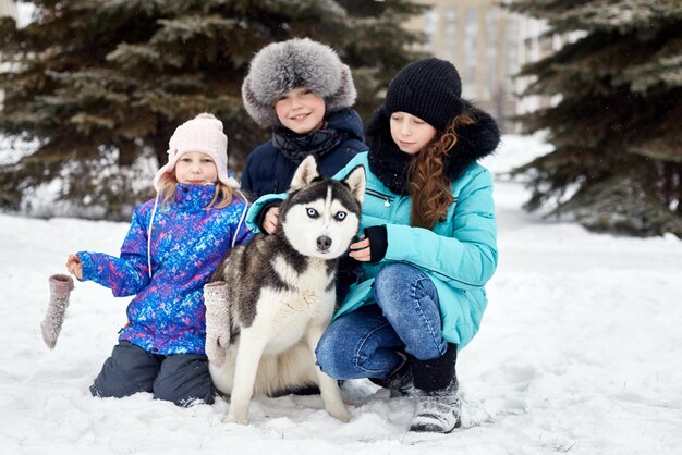 Kinderen gaan in de winter naar buiten en spelen met een huskyhond. Kinderen zitten in de sneeuw en aaien hond husky. Wandel in het park in de winter, vreugde en plezier, hond husky met blauwe ogen. Rusland, Sverdlovsk, 28 dec 2017