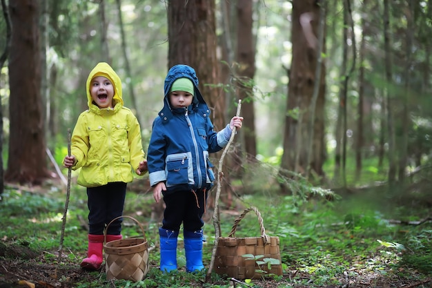 Kinderen gaan naar het bos voor paddenstoelen