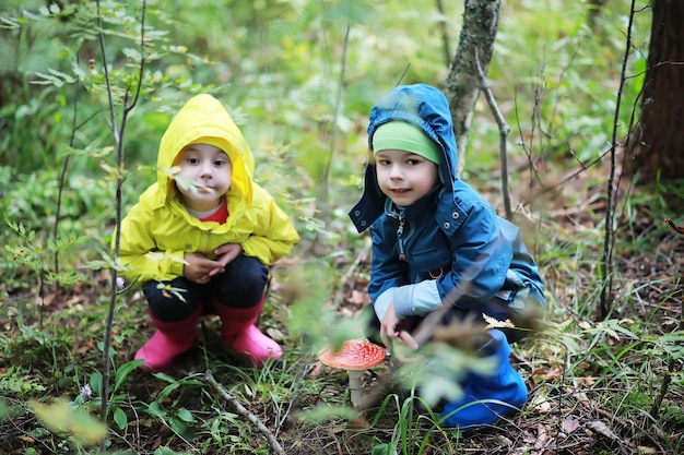 Kinderen gaan naar het bos voor paddenstoelen