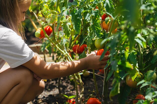 Kinderen helpen volwassenen met het huishouden, oogsten rijpe groenten