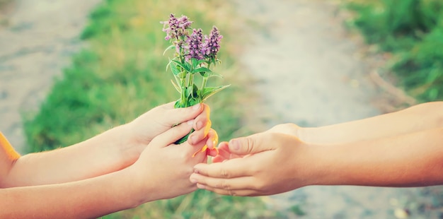 kinderen houden handen bij elkaar met bloemen. Selectieve aandacht.