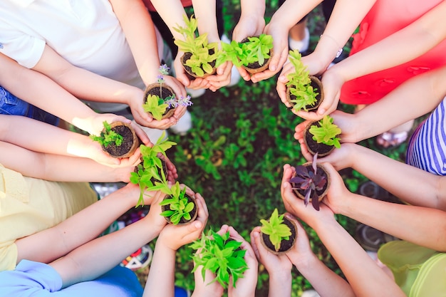 kinderen houden van planten in bloempotten