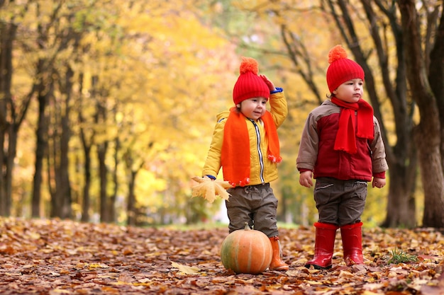kinderen in herfstpark met pompoen rond herfstbladeren
