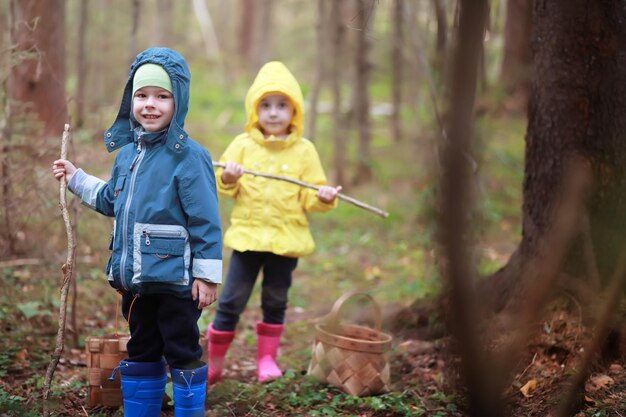 Kinderen in het dorp lopen door het herfstbos en verzamelen paddenstoelen. kinderen in de natuur wandelen in de natuur. landelijke wandeling in de herfst.