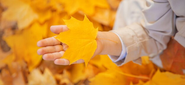 Kinderen in het park met herfstbladeren. Selectieve aandacht.