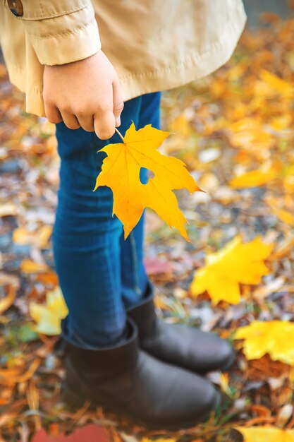 Kinderen in het park met herfstbladeren. Selectieve aandacht.