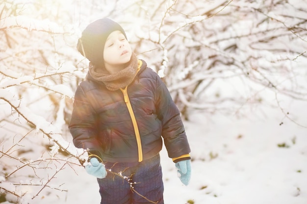 Kinderen in het winterpark spelen