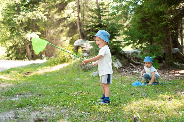 Kinderen jongens broers tweeling vlinder vangen met netten op groene heuvels op zonnige zomerdag