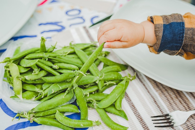 Kinderen kleine hand reikt voor een handvol verse groene mooie erwten gezonde snack oogst