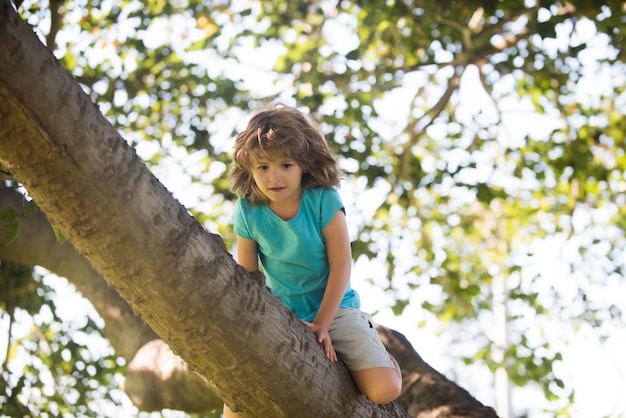 Kinderen klimmen in bomen jongenskind klim hoog in een boom