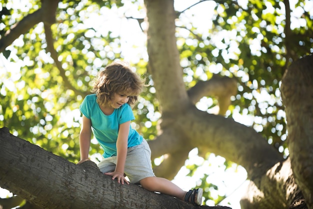 Kinderen klimmen kind jongen klimt in de boom in het park buitenplezier voor kinderen op het platteland